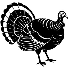 turkey vector illustration