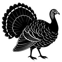 vector illustration of turkey