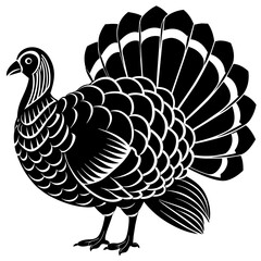 turkey vector illustration