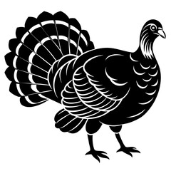 turkey vector illustration