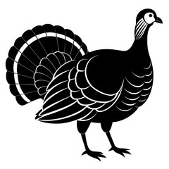 illustration of a country