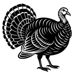 illustration with country