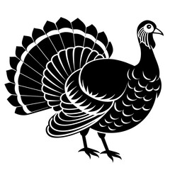 turkey vector illustration