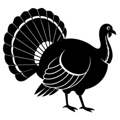 vector illustration of turkey