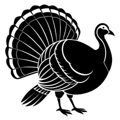 turkey vector illustration
