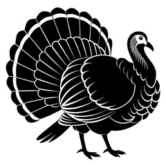 turkey vector illustration
