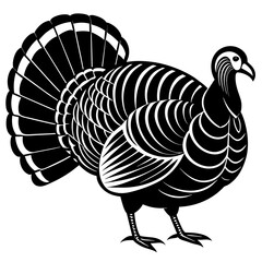 turkey vector illustration