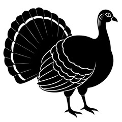 vector illustration of turkey