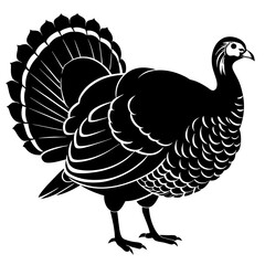 vector illustration of turkey