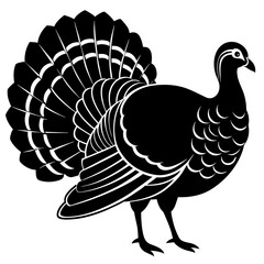 vector illustration of turkey