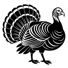 illustration with country