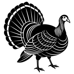 illustration of a country