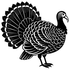 illustration of a country