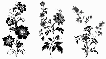 Fototapeta premium Elegant Black and White Floral Designs Collection