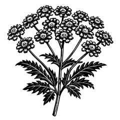 black and white tree