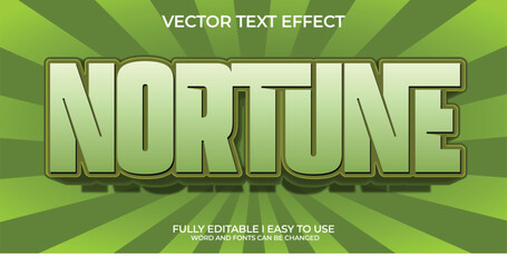 Vector 3D Editable Text Effect
