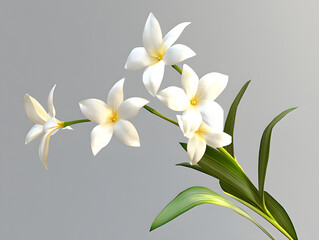 Fototapeta premium bouquet of white lilies