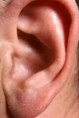 Fototapeta premium Detailed macro photograph of the outer structure of a human ear, highlighting its intricate folds, textures, and subtle hairs.