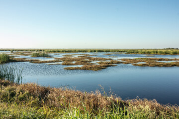 San Bernard Wildlife Refuge, Brazoria, Texas, USA - October 23, 2024 - A flat salt marsh along the...