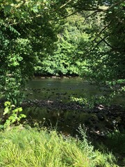 River Ure on a bright summer day near Masham, North Yorkshire, England, United Kingdom