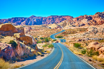 Winding Desert Road Valley of Fire Eye Level Perspective