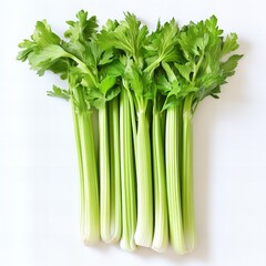 bunch of green, fresh celery isolated on white