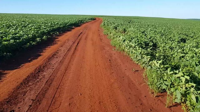 Estrada rural de terra de ch&atilde;o vermelho passando por planta&ccedil;&atilde;o de soja em desenvolvimento.