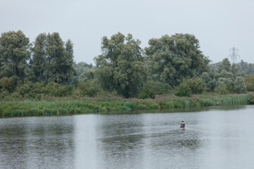 Calm river scene with a lone kayaker, surrounded by trees and vegetation.  Gray sky, overcast day.