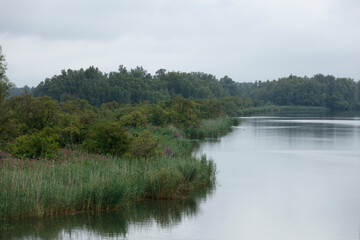 Fototapeta premium Calm river reflecting overcast sky, bordered by lush vegetation and trees. Tranquil riparian landscape.