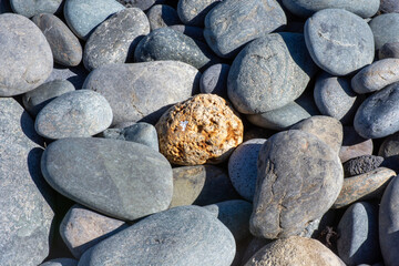 Textura o fondo rocosa de piedras volcánicas de color gris con una en el centro de color amarillo. 