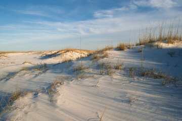 High in the Gulf Coast Sand Dunes