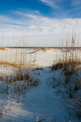 Tranquil Gulf Coast Sand Dunes with Sea Oats and  Blue Shadows