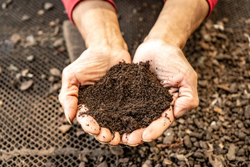 Woman Hands Hold Fresh Organic Soil in San Juan de Lurigancho, Peru