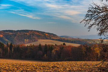 autumn, colorful forest landscape and blue sky