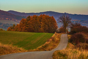 a road surrounded by fields leads into the autumn distance