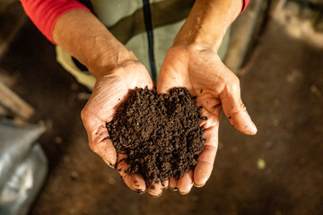 Woman Hands Hold Fresh Organic Soil in San Juan de Lurigancho, Peru