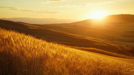 Obraz premium A radiant sunset paints the sky with warm hues over rolling hills, where fields of golden wheat sway gently in the breeze, creating a peaceful and serene landscape.