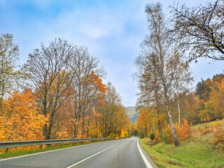 Fototapeta premium road in autumn with autumn trees. Mountain road near Harrachov, Czech