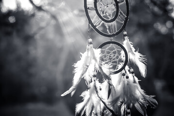 Dreamcatcher, american native spiritual bohemian mascot