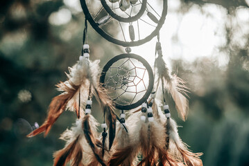 Dreamcatcher, american native spiritual bohemian mascot
