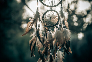 Dreamcatcher, american native spiritual bohemian mascot
