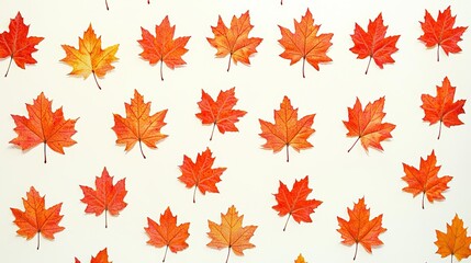 A bunch of red and yellow maple leaves on a white surface