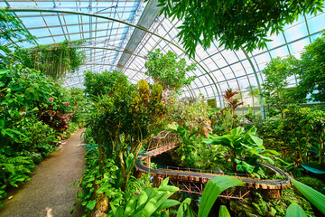 Tropical Greenhouse Oasis with Model Railway Eye-Level Perspective