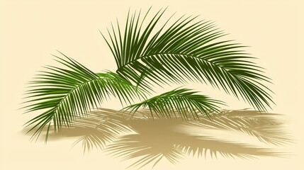 A palm tree with its shadow on a beige background