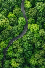 Road network, complex layout and interconnectivity of various routes and trails.