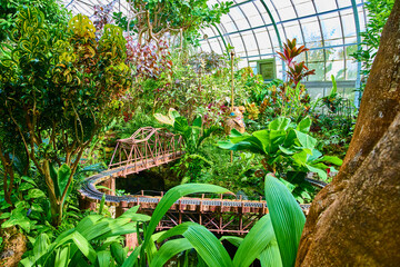 Tropical Greenhouse with Miniature Railway in Sunlit Conservatory View © Nicholas J. Klein