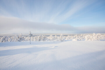 Winter landscape in Pallas Yllastunturi National Park, Lapland, Finland