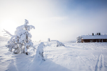 Ski expedition in Pallas Yllastunturi National Park , Lapland, Finland