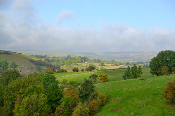 Countryside scene in Staffordshire, UK