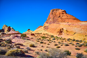 Fototapeta premium Vibrant Red Sandstone in Valley of Fire Desert at Eye Level